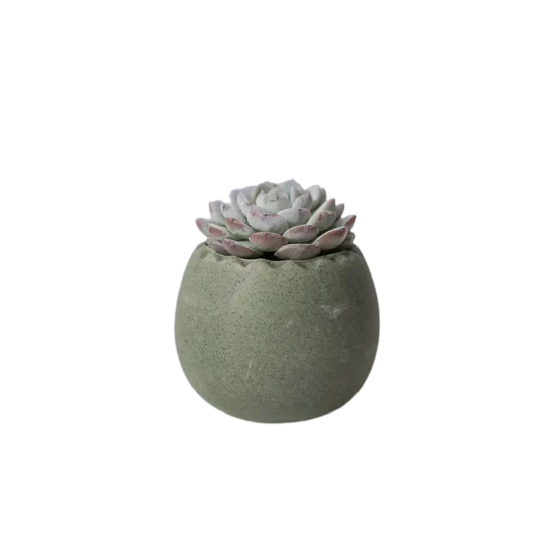 Rainbow Egg - Assorted Colors