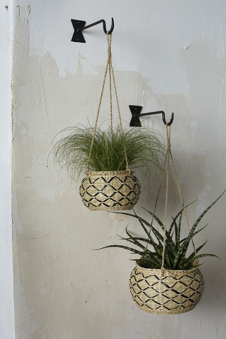 Tia Hanging Pot